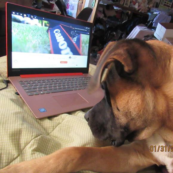 Meet your Posher, Lisa - Picture 1 of 1